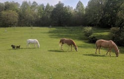 35188 Wolf Hill Road, Mc Arthur, OH 45651