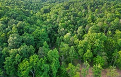White Hollow Road, Patriot, OH 45658