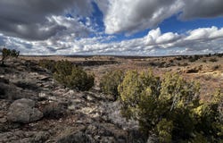 28 N 6429, St. Johns, AZ 85936