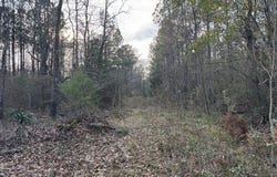 75 Point Escambia, Atmore, AL 36502