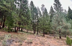 720 Blacktail Ridge, Portola, CA 96122