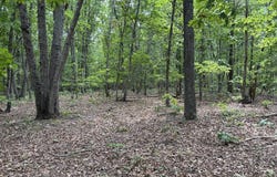 240 Tabor Road, Gladys, VA 24554