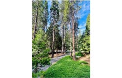 27165 Barton Road, Pioneer, CA 95666