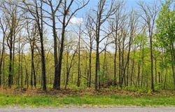 Halladale Lane lot: 3, Bella Vista, AR 72715