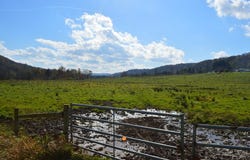 Route 44, Shinglehouse, PA 16748