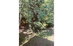 161 Timberlake Drive, Inman, SC 29349