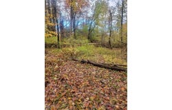 Schaen Drive, Andover, OH 44003