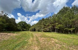 Mississippi 583, Tylertown, MS 39667