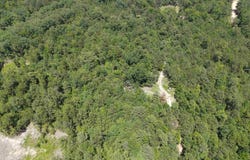 CHICOT Trail, Bismarck, AR 71929