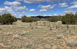Honey Bee Lane, Seligman, AZ 86337