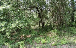 929 ANNETTE Avenue, Interlachen, FL 32148
