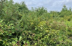 L14.411 01 Ennis Road, Schenectady, NY 12306