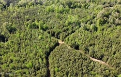 SW Auburn Drive, Bogue Chitto, MS 39629