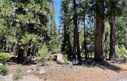 83 Paiute Trail, Graeagle, CA 96103