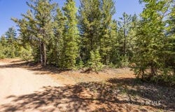 1365 W Twisted Trail, Duck Creek Village, UT 84762