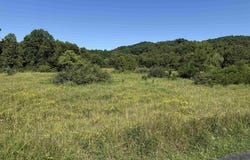 Middletown Road, Fairmont, WV 26554