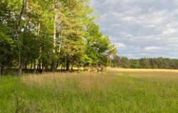 330 LICK CREEK Rd, Michie, TN 38357