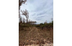 Wire 2 Road, Cheraw, SC 29520