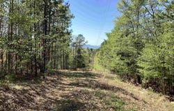 TBD Tract 7 Chaparral Lane, Mena, AR 71953