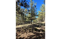 44 Horn Silver Drive, Westcliffe, CO 81252