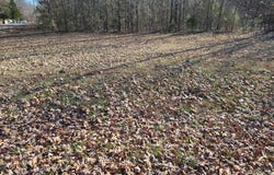 Shore Drive, BIG SANDY, TN 38221