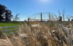 710 County Road 328, Thayer, MO 65791