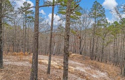 467 Timberline Road, Willow Springs, MO 65793
