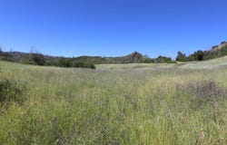 14130 Big Canyon Rd, Middletown, CA 95461