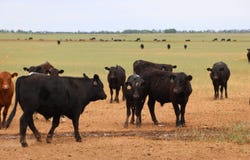 918 NW30RD, Attica, KS 67009