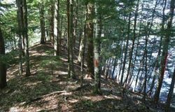 36 Fuller Drive, Corinth, NY 12822