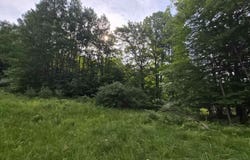 N Crossover Drive lot: A, Bellaire, MI 49615