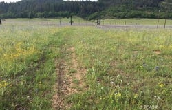1741 Farmer Ranch Rd, Hayfork, CA 96041