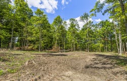 Valencourt Road, Copemish, MI 49625