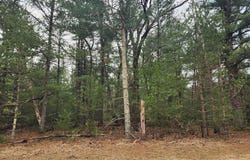 Dyke Avenue lot: 8, Adams, WI 53910