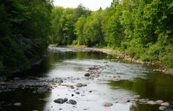 Camp 4 Grade Road, Wakefield, MI 49968