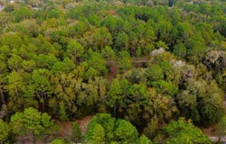 SW 152 Terrace, Ocala, FL 34481