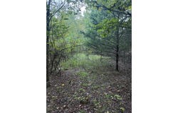 10 Earl Lane, Dover, AR 72837