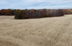 Polston Ln, Marthasville, MO 63357