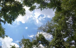 Shay Ridge Road, Wingett Run, OH 45789