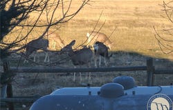 2584 Highway 284, MT 59644