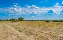 CR 351, Stephenville, TX 76401