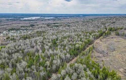 Pebble Pl, Giblert, MN 55741-0000