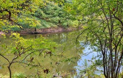 Perry Road, Golconda, IL 62938