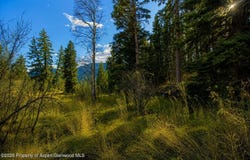 123 Wapiti Way, Basalt, CO 81621