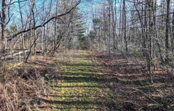 Route 7 S, Middlebury, VT 05753
