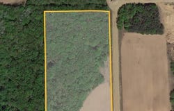6830 Sandy Ridge, Vassar, MI 48768