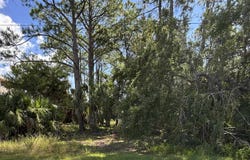 33 Blue Heron Way, Panacea, FL 32346