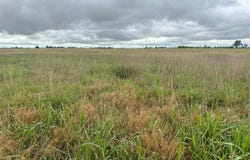 Drummond Area, OK, Drummond, OK 73735
