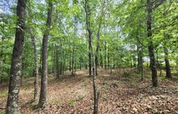 Blackberry Drive, Summersville, MO 65571