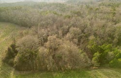 2 County Road 3324, BRUNDIDGE, AL 36010